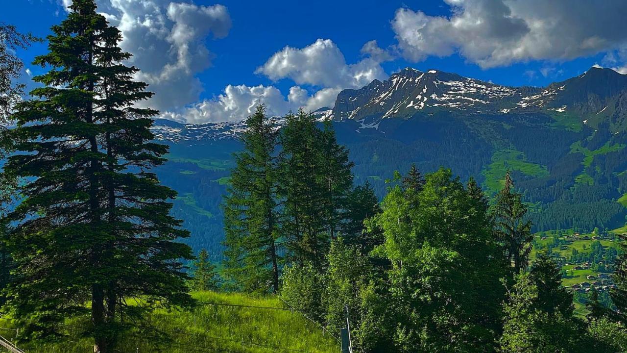 Romantisches Plaetzchen In Der Natur Γκρίντελβαλντ Εξωτερικό φωτογραφία